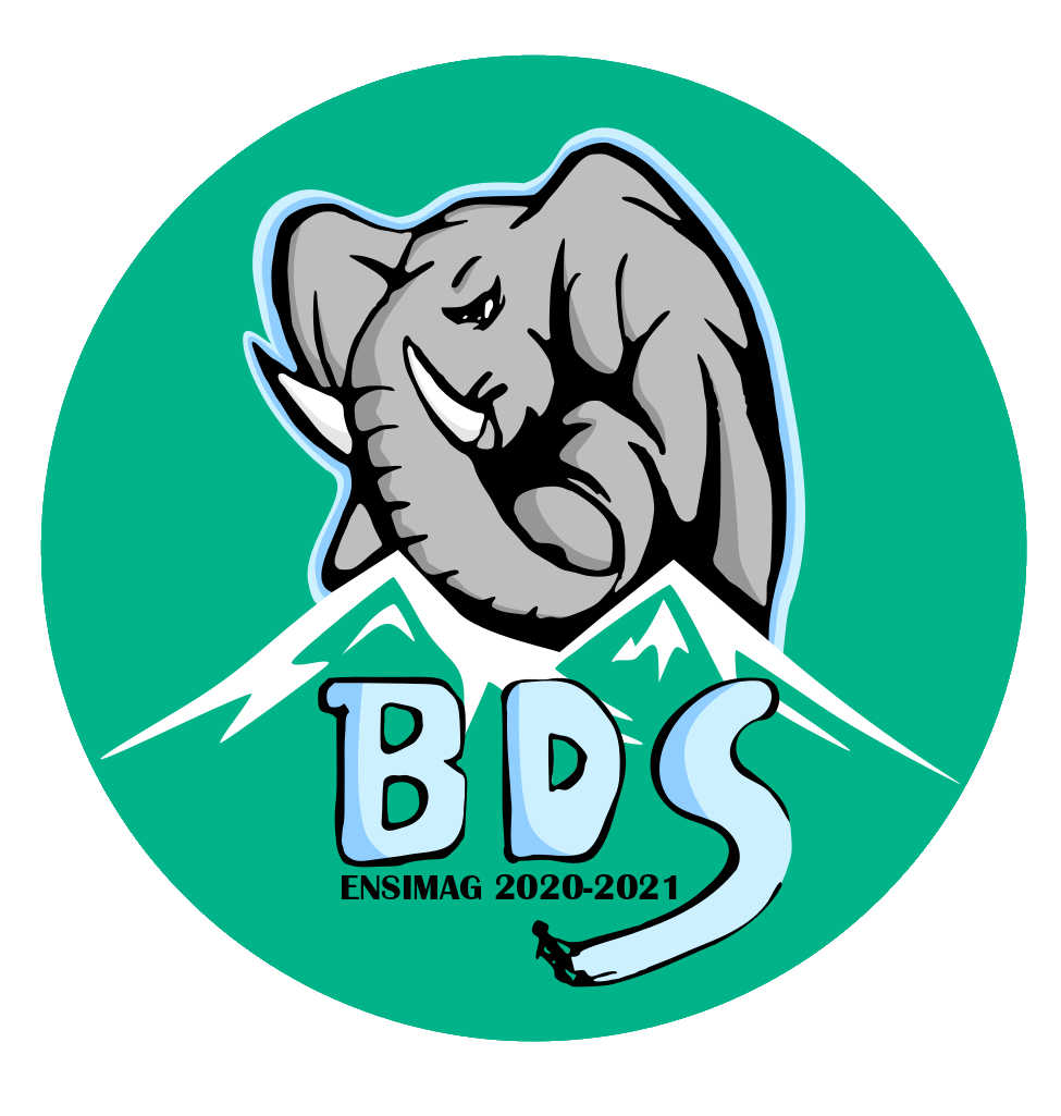 logo BDS